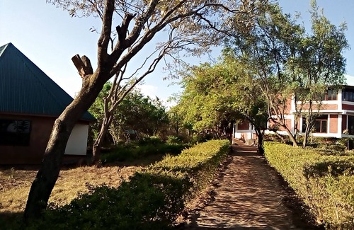 Karatu Cabin | Ancestors Lodge. Walking tour free. Camping site available. Private bathrooms.