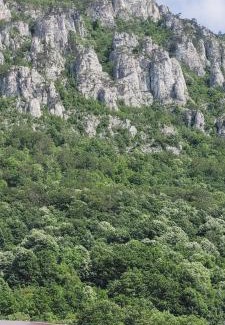 Baile Herculane Apartment | ANDI 2-apartament