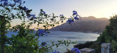 Minoa Pediada Apartment | Anemos