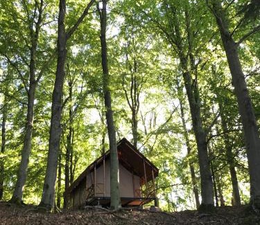 Ljungskile Other | Anfasteröd Gårdsvik - Tälten