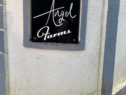 Kalyan Villa | Angel farms