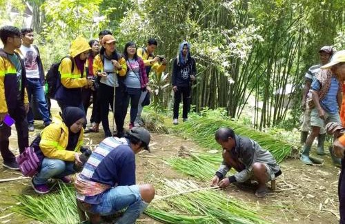 Batutumonga House | Angel's Homestay Batutumonga