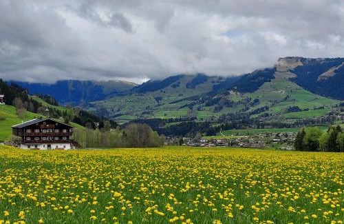 Jochberg Apartment | Angererhof