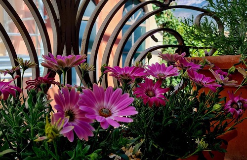 Pratola Peligna Apartment | Anna's Holiday House, practical apartment with all amenities, with pets allowed.