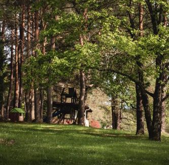 Apatistvanfalva Bed & Breakfast | Apát Panzió és Hajdina Étterem