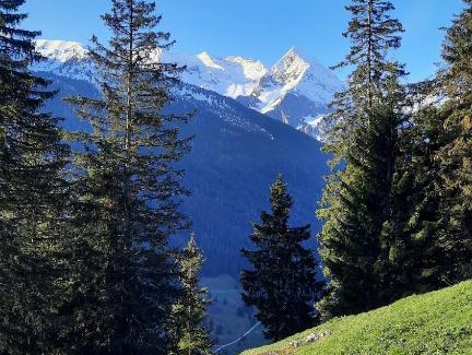 Vorderlanersbach Apartment | Apart Alpin