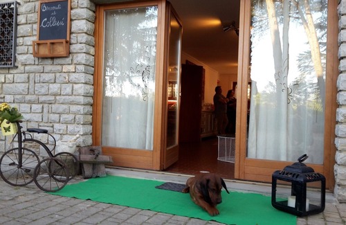 Ciggiano Apartment | Apartment in the heart of Tuscany