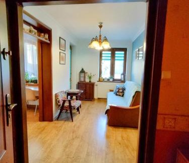 Lancut Apartment | Apartament Śródmieście