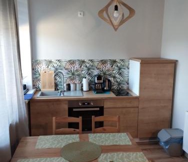 Ladek-Zdroj Apartment | Apartament 103