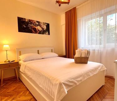 Tirgu Jiu Apartment | Apartament Aerodrom Barza