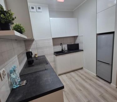 Stargard Szczecinski Apartment | Apartament Centrum z darmowym podziemnym parkingiem