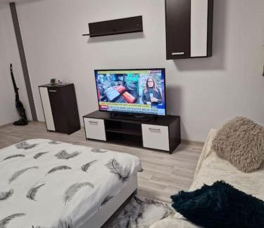 Resita Apartment | Apartament cu o camera