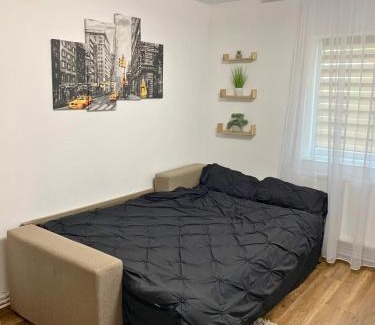 Falticeni Apartment | Apartament Fălticeni