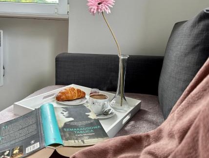 Jedlina-Zdroj Apartment | Apartament Jedlinka