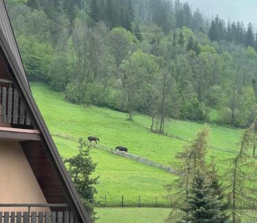 Poronin Apartment | Apartament KALINA - Ostoya Twoya