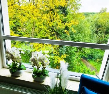 Porabka Apartment | Apartament Kurort Kozubnik Wilcza Wataha