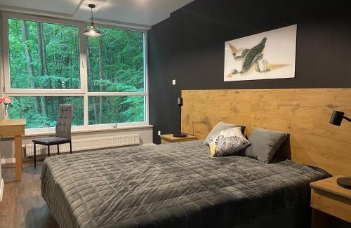 Porabka Apartment | Apartament Kurort Kozubnik - Taras nad Potokiem