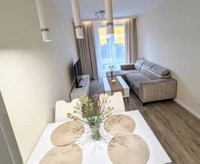 Nowe Miasto Apartment | Apartament Leomar, bezkontaktowe zameldowanie, darmowy parking