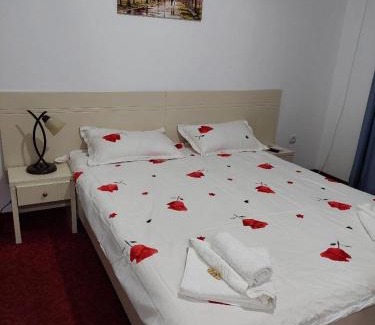 Baile Unu Mai Apartment | Apartament Lora