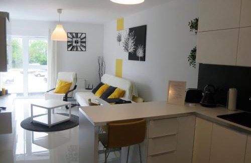 Poznan City Center Apartment | Apartament Maxi