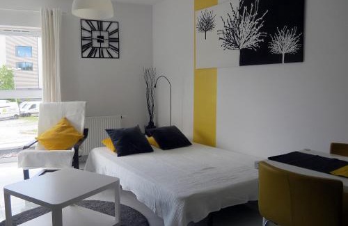 Poznan City Center Apartment | Apartament Maxi