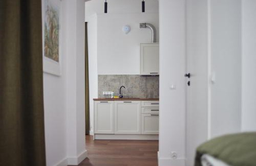 Ladek-Zdroj Apartment | Apartament Miła 2 Lądek-Zdrój