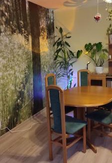 Tarnow Villa | Apartament Multik