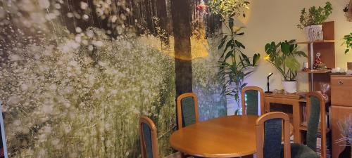 Tarnow Villa | Apartament Multik