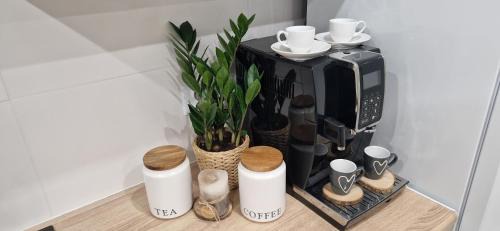 Jelenia Gora Apartment | Apartament na skałkach