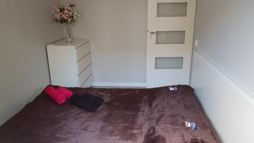 Psie Pole Apartment | Apartament nad Odrą z tarasem