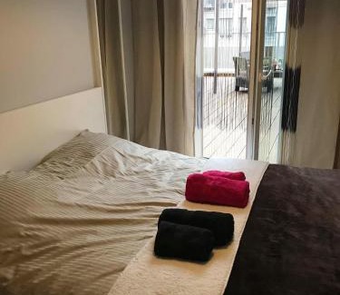 Psie Pole Apartment | Apartament nad Odrą z tarasem