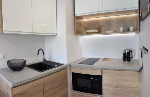 Wilda Apartment | Apartament Omega with parking