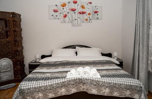 Rasinari Apartment | Apartament Panoramic la casa in comuna Rasinari