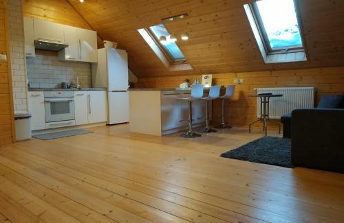 Uscie Gorlickie Apartment | Apartament Pod kogutkiem