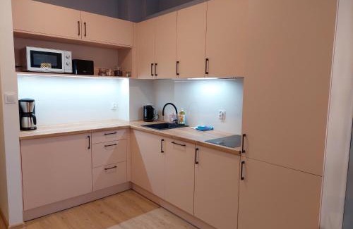 Karpacz Apartment | Apartament Pod Papugami 2 Karpatia Resort