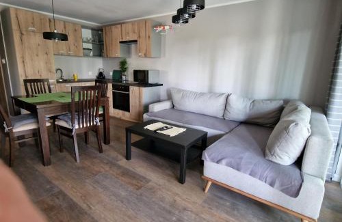 Skarszewy Apartment | Apartament Sosny 2,2 nad jeziorem OTW Borówno Wielkie