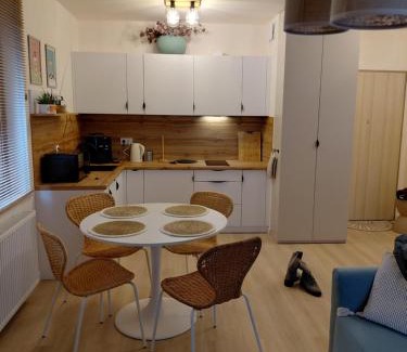 Jelenia Gora Apartment | Apartament Sudecka 119