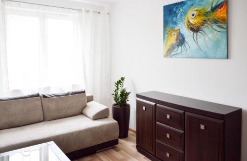 West Pomeranian Voivodeship Apartment | Apartament Szczecin Pomorzany