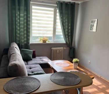 Szczecinek Apartment | Apartament Szczecinek