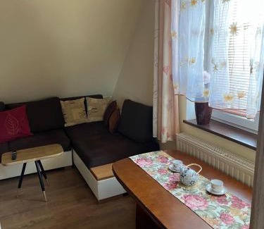 Zywiec Apartment | Apartament Tujka Żywiec