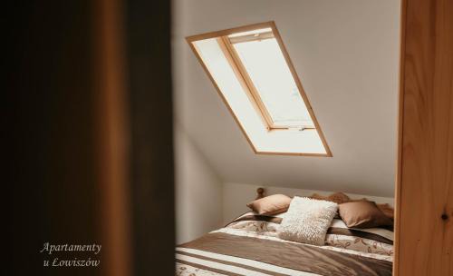 Witow Apartment | Apartament u Łowiszów