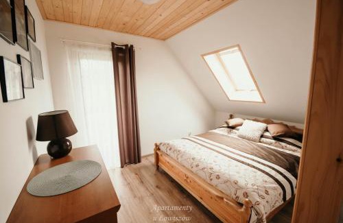 Witow Apartment | Apartament u Łowiszów