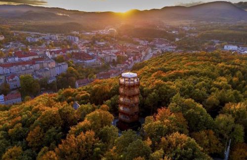 Walbrzych Apartment | Apartament w Sercu Gór z ogrodem