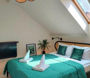 Zywiec Apartment | Apartament z 1 Sypialnią przy Rynku w Żywcu