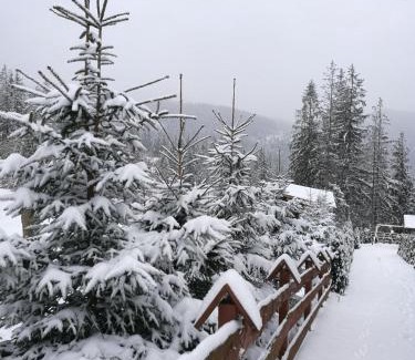 Male Ciche Apartment | Apartament z kogutem