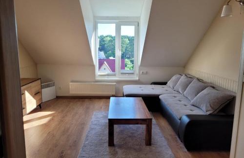 Birstonas Apartment | Apartamentai Birštono panorama