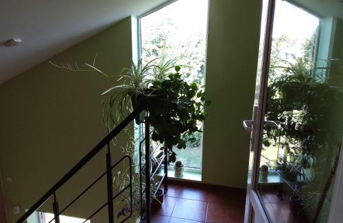 Klaipeda Apartment | Apartamentai Gegučių gatvėje