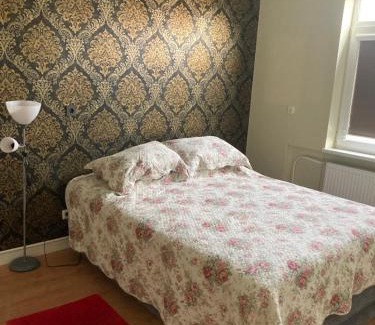 Rusne Apartment | Apartamentai Rusnėje , Nemuno 13