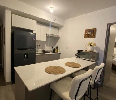 Barrio Escalante Apartment | Apartamento en Barrio Escalante