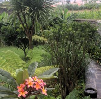 Ponta Delgada Apartment | Apartamento tranquilo e acolhedor